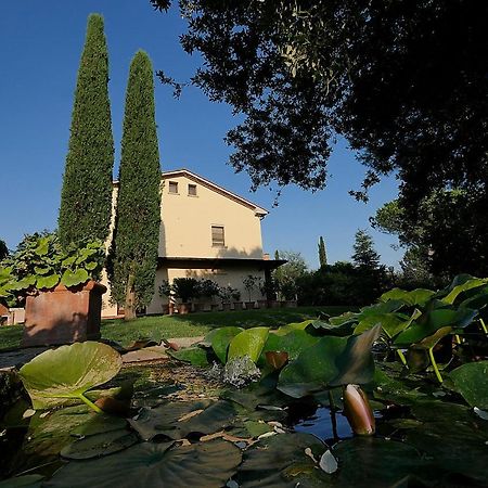 Agriturismo Le Vallette Bibbona Exteriör bild