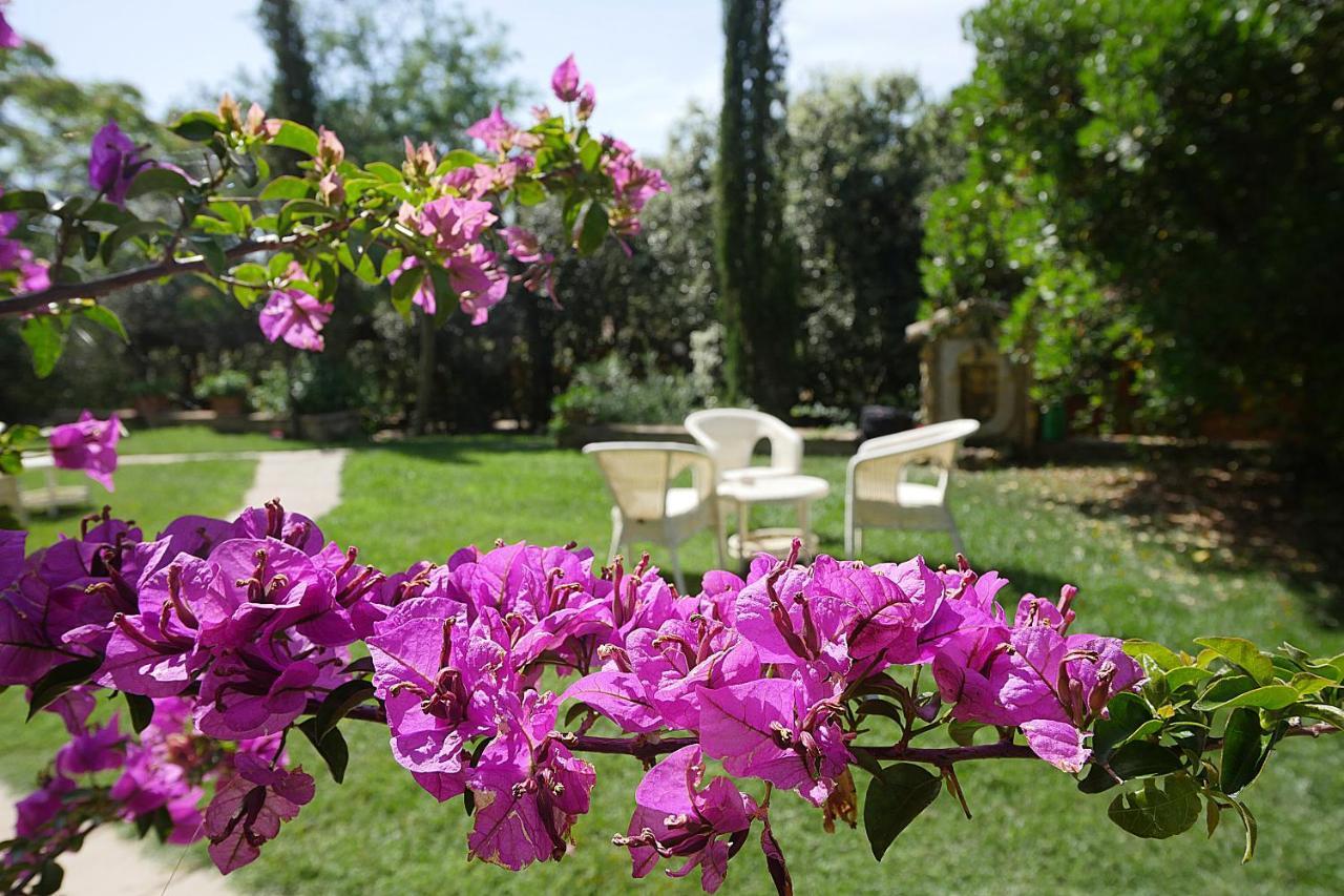 Agriturismo Le Vallette Bibbona Exteriör bild